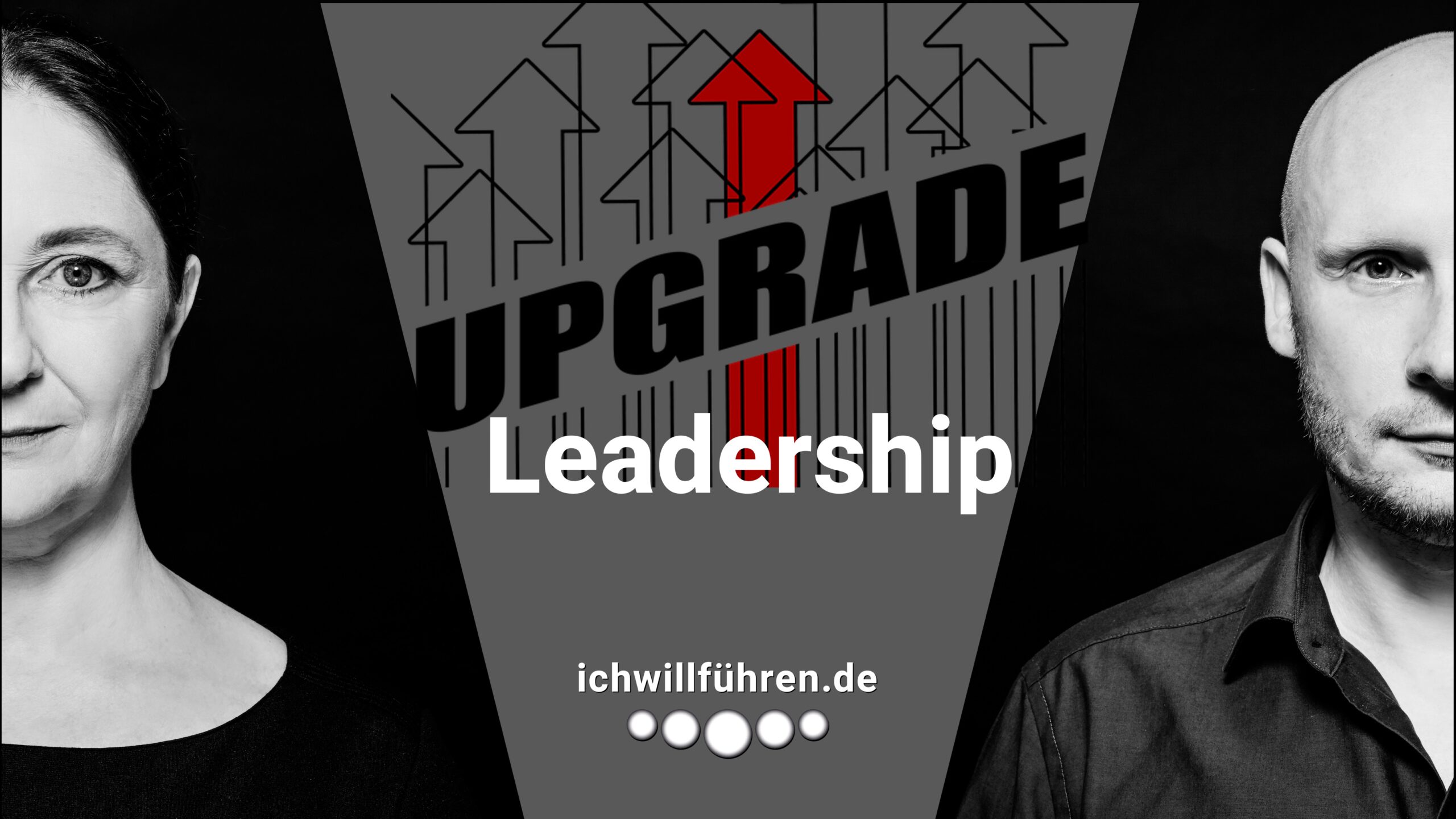 Theme Leadership Upgrade